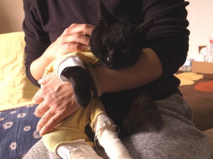 お母さん大好き、甘える椿ちゃん