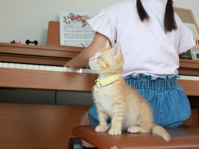 お姉ちゃんのピアノの練習にお付き合い