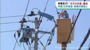 停電の原因であるカラスの巣を撤去　東北電力ネットワーク