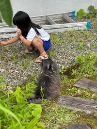 亡くなるひと月前。もう走って遠くへ行ってしまうことなどないので、一緒にゆっくりお庭の散歩です。