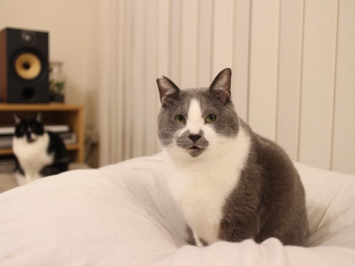 くまお（こぐまも後ろに・・）