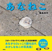 いままさに穴から飛び出そうとする猫　何ともシュール