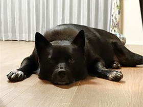 東京、銀座…頭の中の地図でどこでも行けるよ　MIX「カムイ」