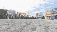 シーフロントプロムナード(高松市)12日