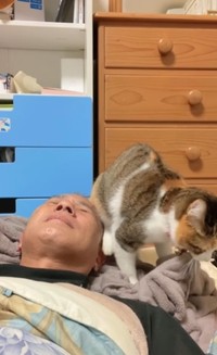 いったん降りたが・・・（小雪ちゃんのパパさん提供、Instagramよりキャプチャ撮影）