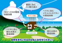 Go Green Cubeの効果（1）