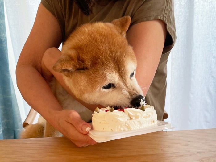 誕生日はホールをがぶり。残りは３～４回に分けて食べました