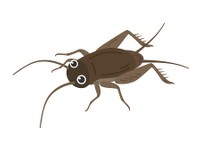 コオロギのイメージ画像(R-DESIGN/stock.adobe.com)