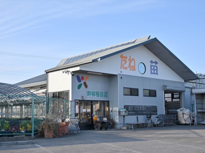 畔柳種苗店