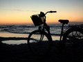 土砂降りの小浜島を泣きながら自転車を漕いだ。もう無理だと叫んだあとに