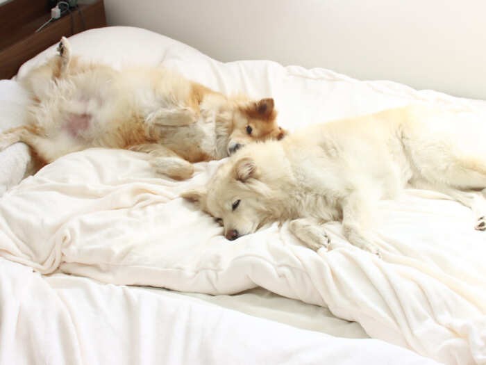 日中はだいたいこんな感じ