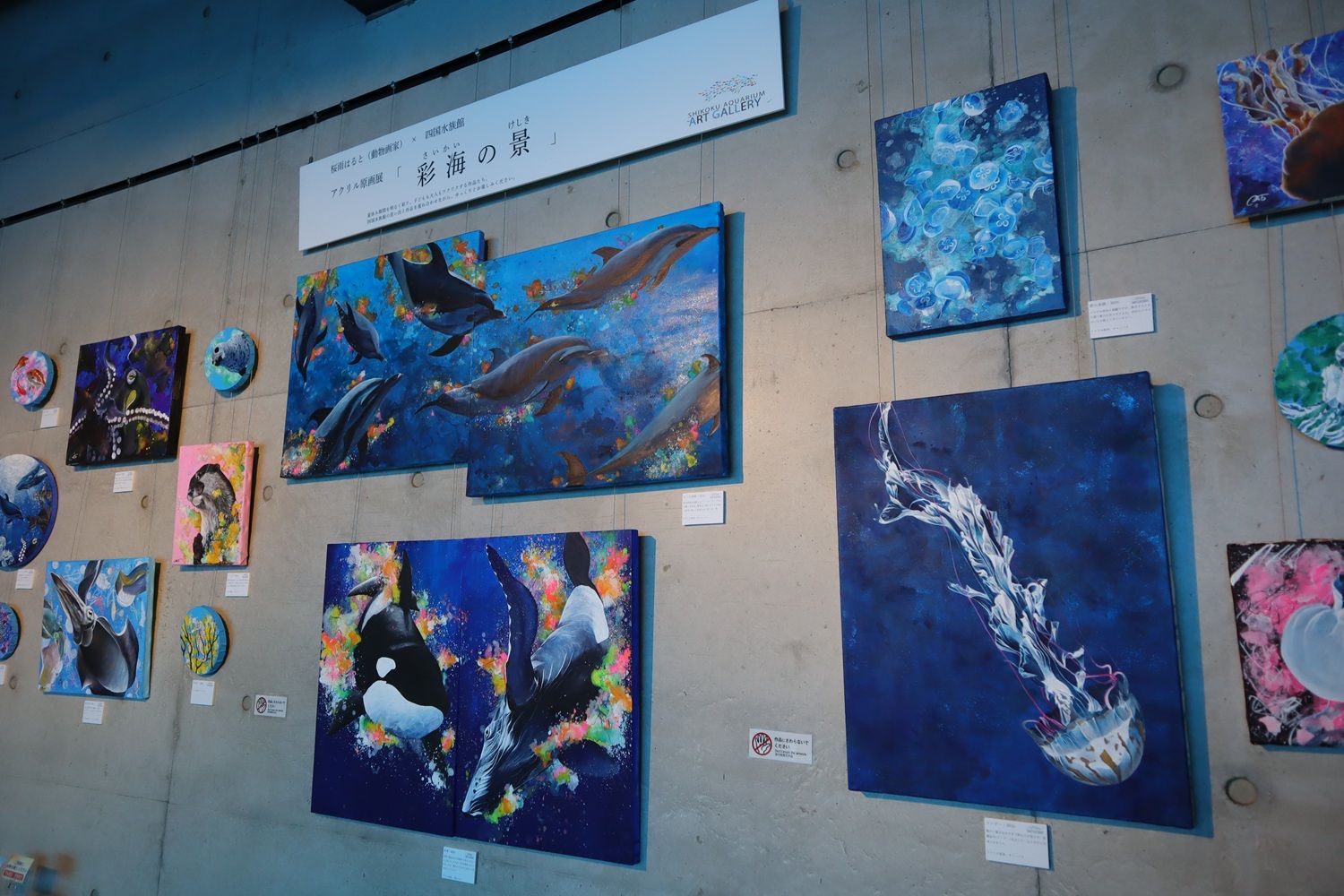 四国水族館 動物画家の原画展「彩海の景」開催中 ライブドローイングも