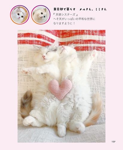 （へそ天にゃんこ/三笠書房）