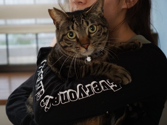 タルト君は皆の毛繕いをする優しい男子