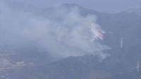 岡山市の山火事の現場　24日午後4時半ごろ