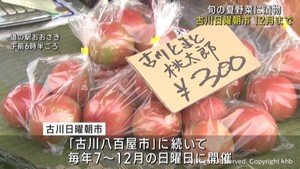 恒例の「古川日曜朝市」始まる　１２月までの毎週日曜日