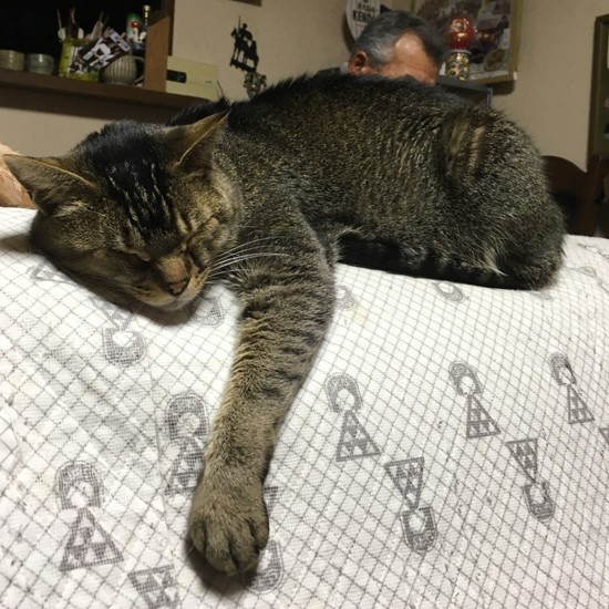 疲れたら寝る、寝る子は育つ（提供写真）