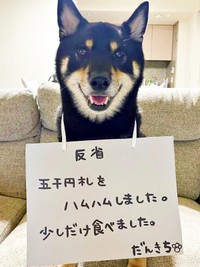 反省文とともにーーにっこり笑顔がにくめないだん吉くん（画像提供：だん吉さん）