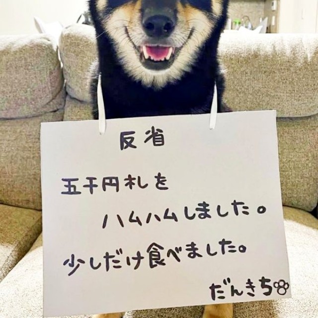 反省文とともにーーにっこり笑顔がにくめないだん吉くん（画像提供：だん吉さん）