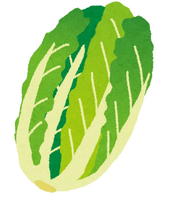 白菜から菜の花が…！？？？