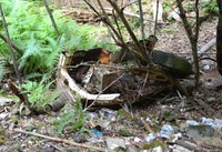 仁和寺の境内地に捨てられた自動車の一部（京都市右京区）
