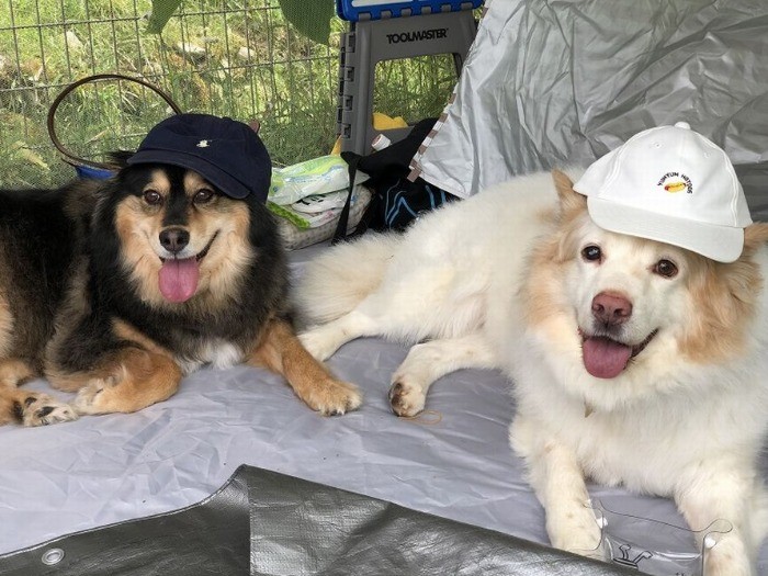 イクシオンくん（右）とアヌーシュカちゃん