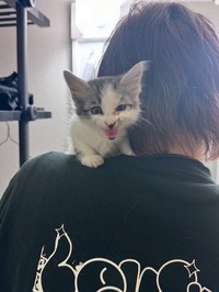 目の前にいる命と旅立った命を愛でる日々