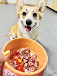 ごちそうを前に笑顔のコパンちゃん（画像提供：まろ眉のコパンさん）