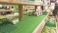 マツタケが1本もないマツタケの販売コーナー　道の駅「彩菜茶屋」