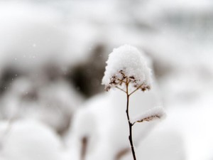 「忘れないでほしいのは……」。つらかった私に届いた恩師の言葉