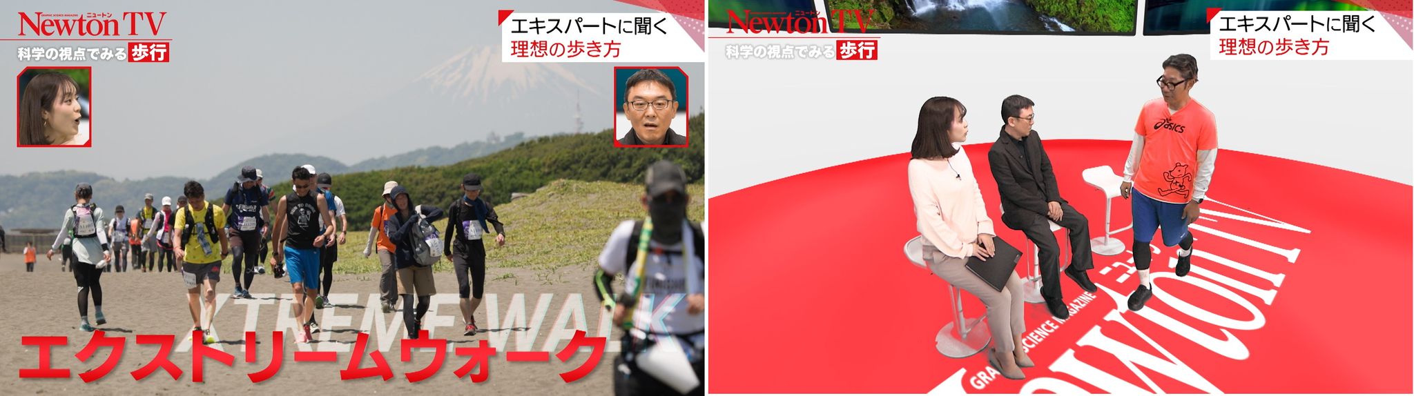 NewtonTV_画像2