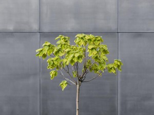 25才。周りの結婚に焦っていたのに、10年付き合った彼と別れたわけ