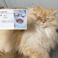 アザラシとそっくり！？ 目を細めるみつきさん（画像提供：みつきさん）