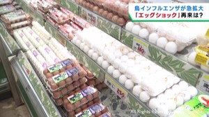 鳥インフルエンザ増加で卵の価格高騰が続く「価格が下がる気配なし」専門家