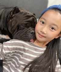 まるで恋人同士のゆめちゃんとアトム君♡♡（提供：＠americanbully_atom0106さん）
