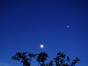 静まりかえった夜、布団の中。携帯をさわると、必ず誰かが優しく救ってくれる