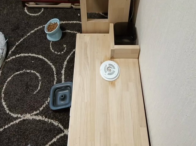 「負けられない戦い」第2ラウンド、突入！（画像提供：セルゥゥゥゥァァァァァさん）