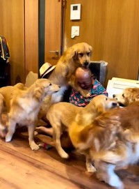 ３日ぶりの再会がすごすぎる…(阿部さん提供、Instagramよりキャプチャ撮影)
