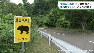 仙台市の住宅地で相次ぐクマの目撃　アーバンベアが増加