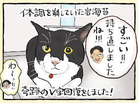 猫風邪を患っていた「岩海苔」、劇的なV字回復！　元気とともに怒りの抗議行動も復活