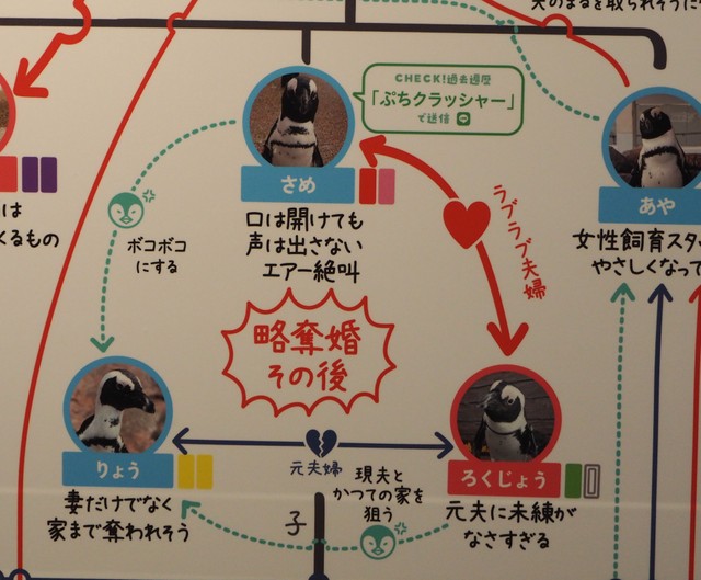 京都ペンギン相関図２０２３