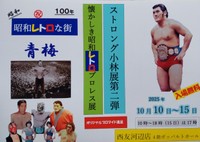 手作り感が伝わる「ストロング小林展」のチラシ