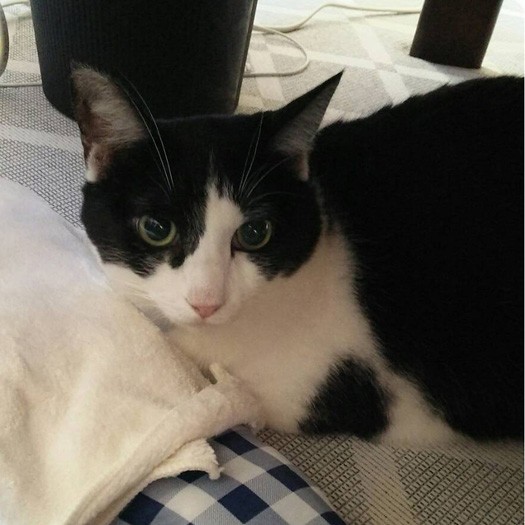 「工場でも面倒みてもらっていたけど…家とは違ったな」（横野さん提供）