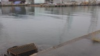 高松市朝日町　午前7時半ごろ