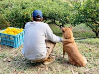 パパに寄り添うテツくん（画像提供：ゆずのなかさん）