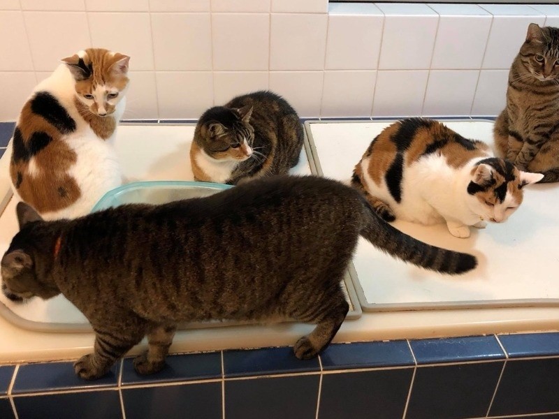 風呂場も占領されている！みなぬくぬく