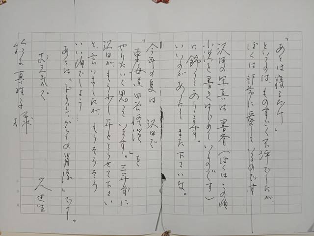 手紙で語られている沢田研二主演『東海道四谷怪談』は結局実現しなかった（鈴木真理子さん提供）