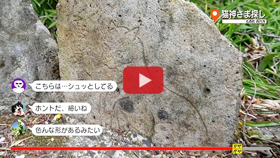 #292丸森町 猫神さま探し②