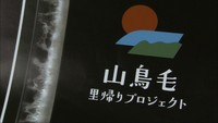 上杉謙信の愛刀「山鳥毛」購入に公費投入の方針　基金で4.3億円　岡山・瀬戸内市