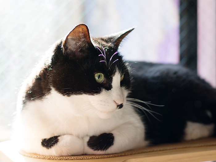 「カメラなんか構えてないでさ、のんびりしたら」（小林写函撮影）